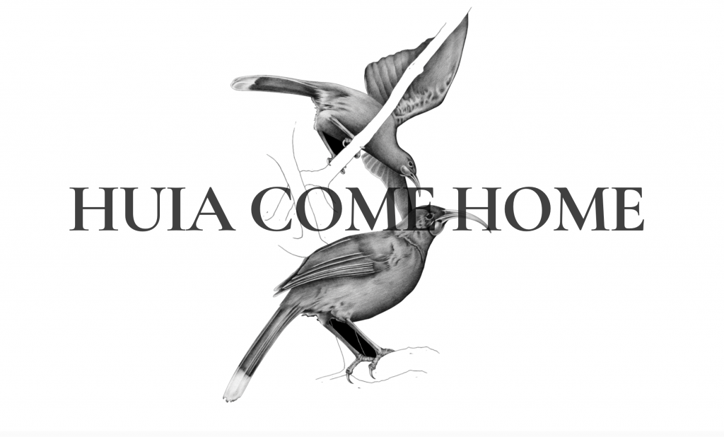 Huia Come Home